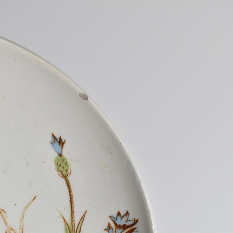 Antique Saucer K&G Lunéville Bleuet