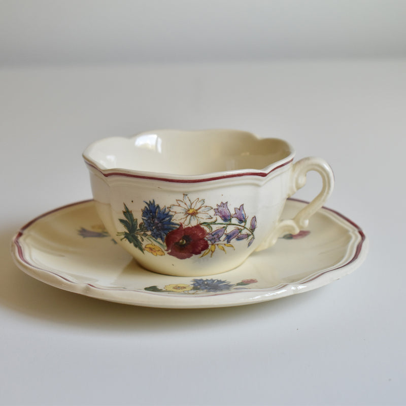 Vintage Cup and Saucer Digoin & Sarreguemines Agreste B