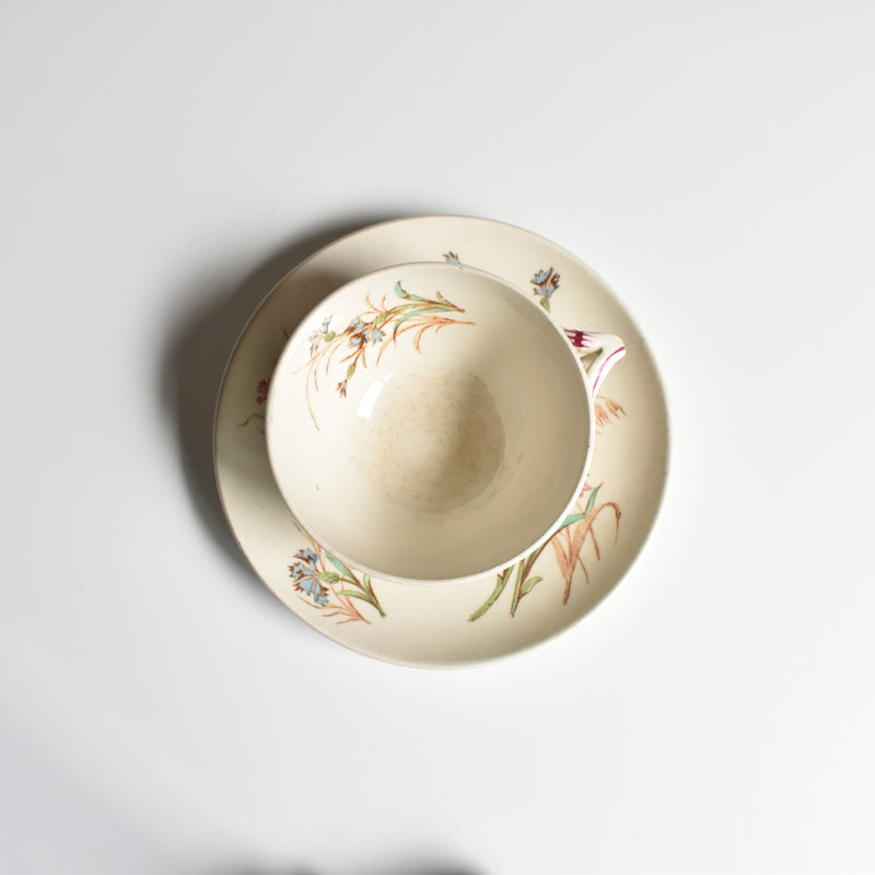 Antique Cup and Saucer K&G Luneville Bleuet C