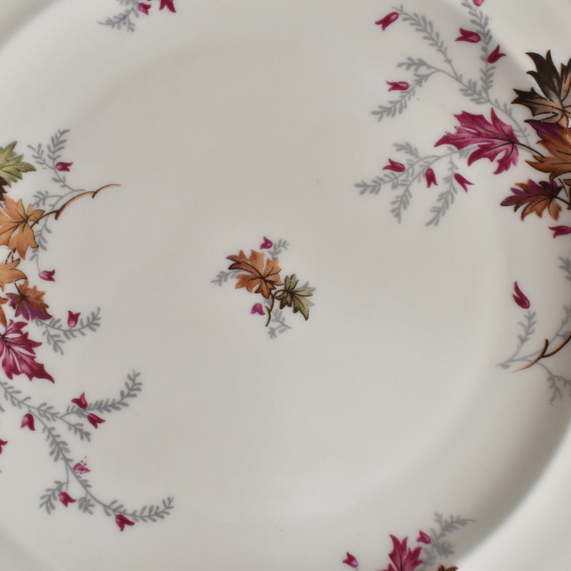 Vintage Dessert Plate Raynaud Erable D