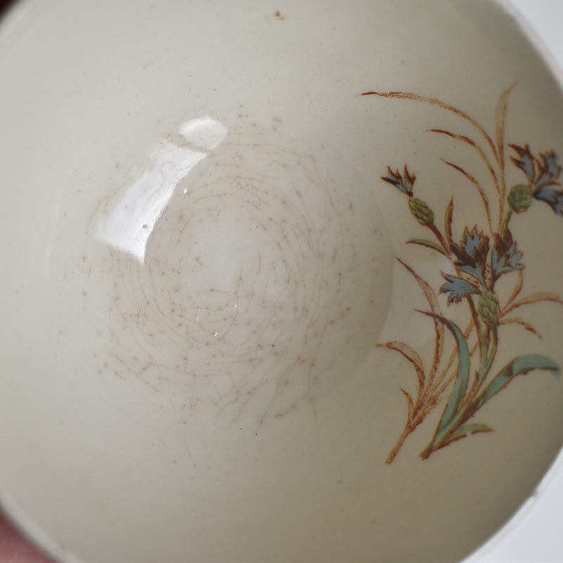 Antique Cup and Saucer K&G Luneville Bleuet C