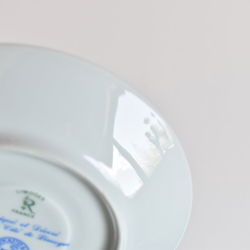 Vintage Cup & Saucer Raynaud Limoges Jumièges C