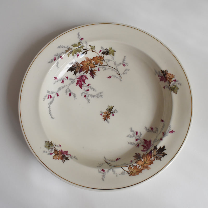 ヴィンテージ深皿 レイノー Erable B