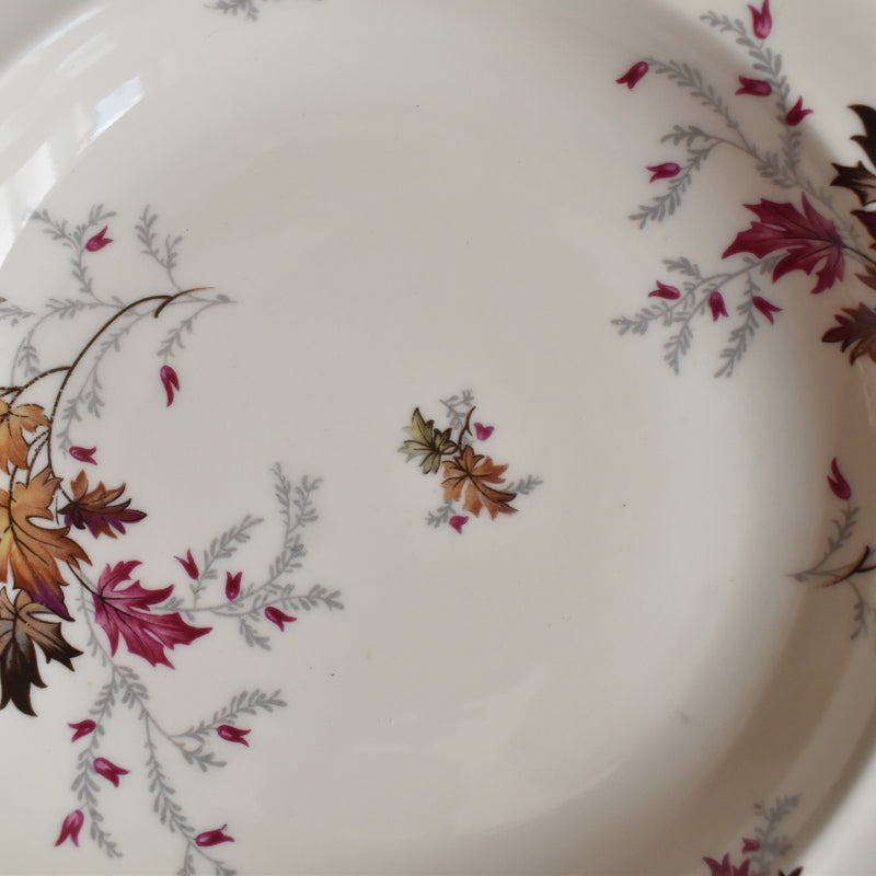 ヴィンテージ深皿 レイノー Erable B