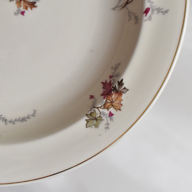 ヴィンテージ深皿 レイノー Erable B