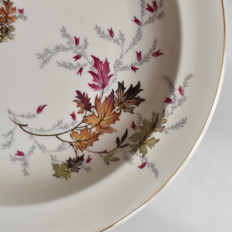 ヴィンテージ深皿 レイノー Erable B