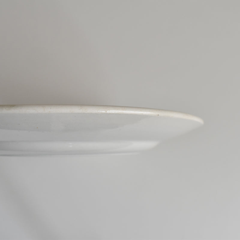Vintage Plate Gien Roxane F