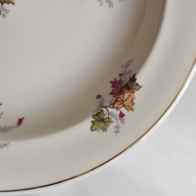 ヴィンテージ深皿 レイノー Erable B