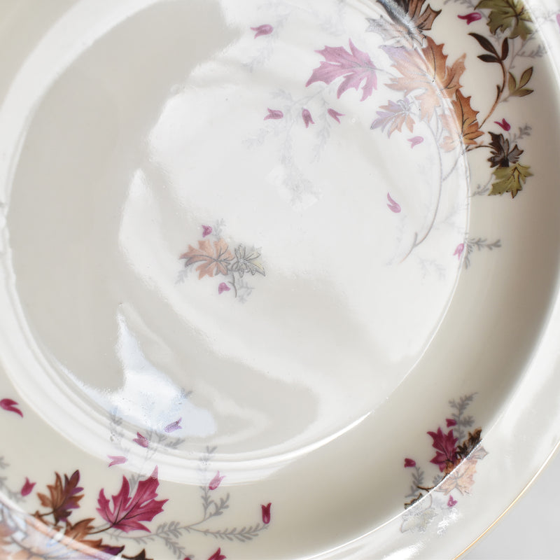 ヴィンテージ深皿 レイノー Erable B