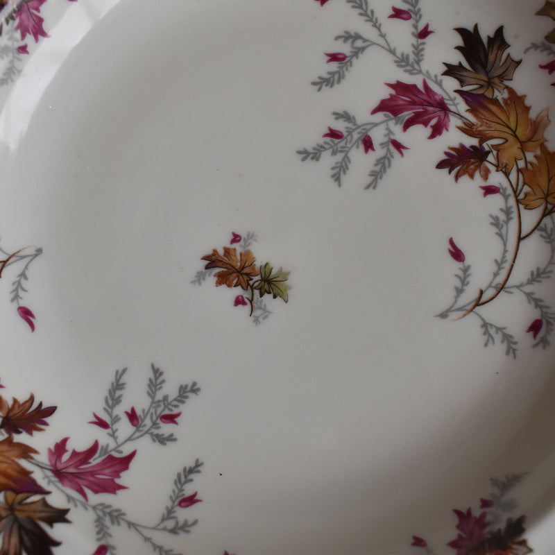 Vintage Deep Plate, Raynaud, Erable C