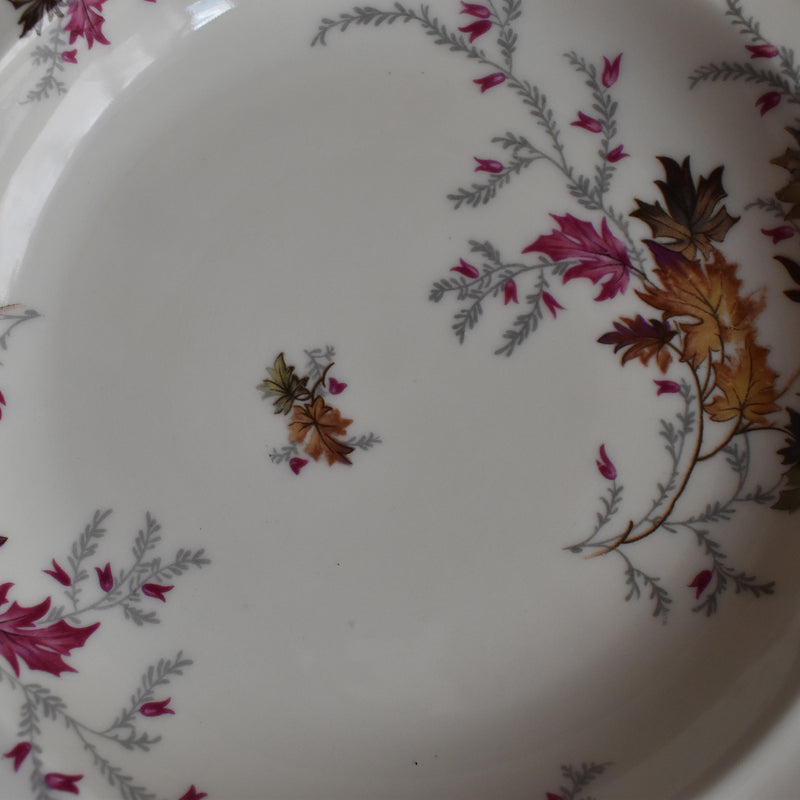 Vintage Deep Plate Raynaud Erable D