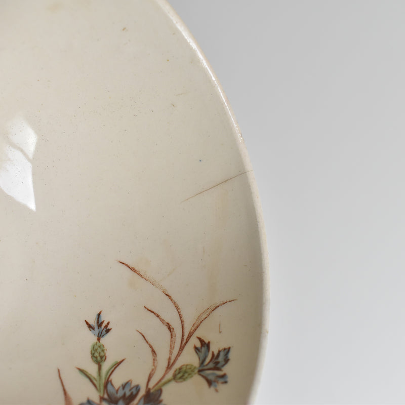 Antique Cup and Saucer K&G Lunéville Bleuet F