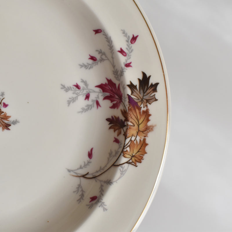 Vintage deep plate Raynaud Erable E