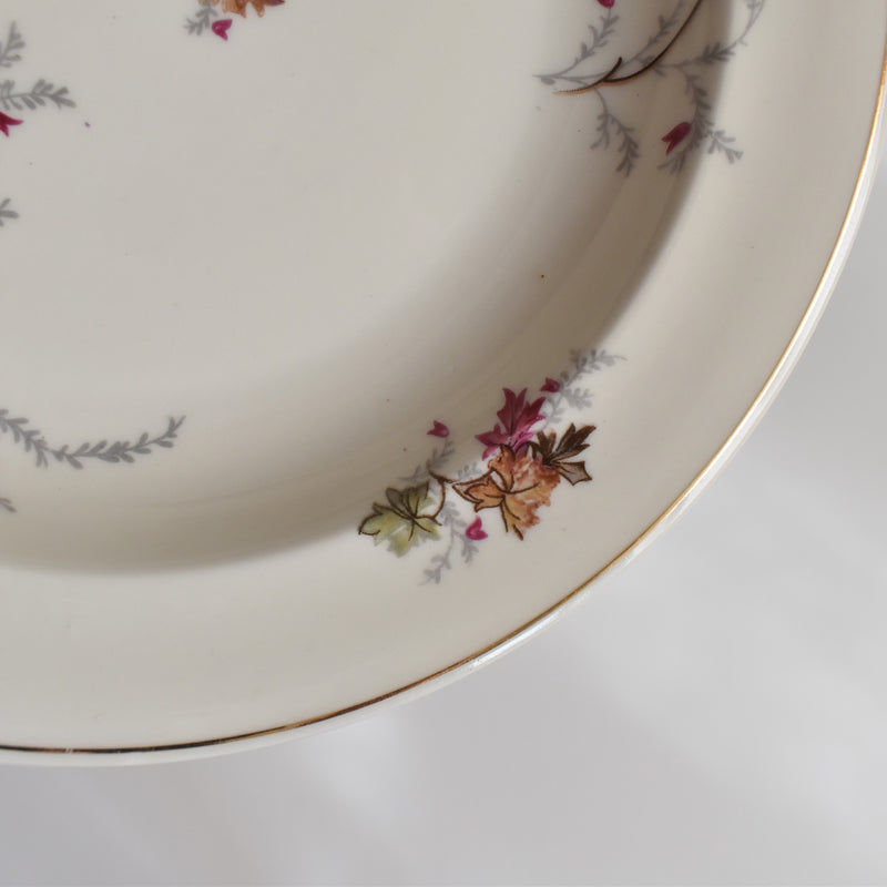 Vintage deep plate Raynaud Erable E