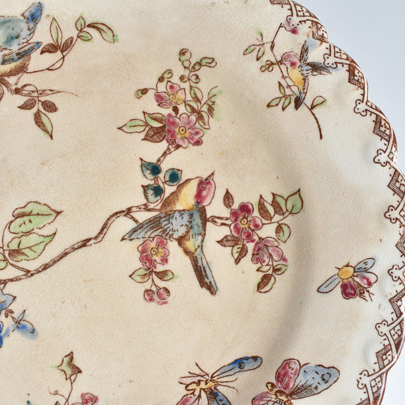 Antique Dessert Plates, Onnaing, Oiseaux D