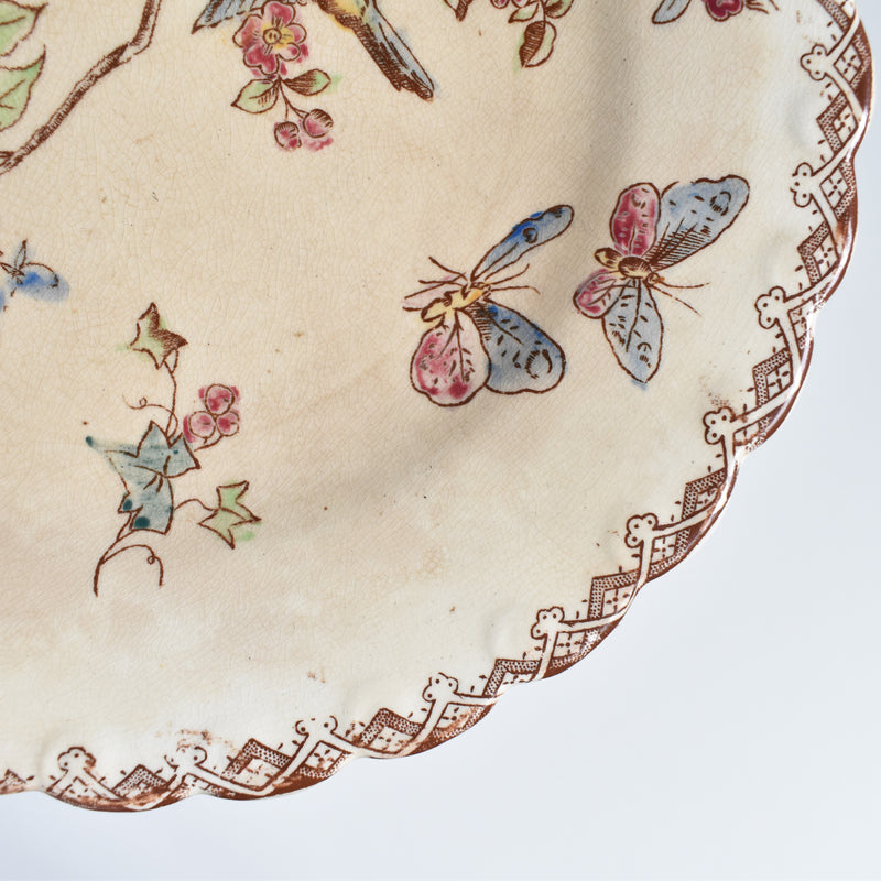 Antique Dessert Plates, Onnaing, Oiseaux D