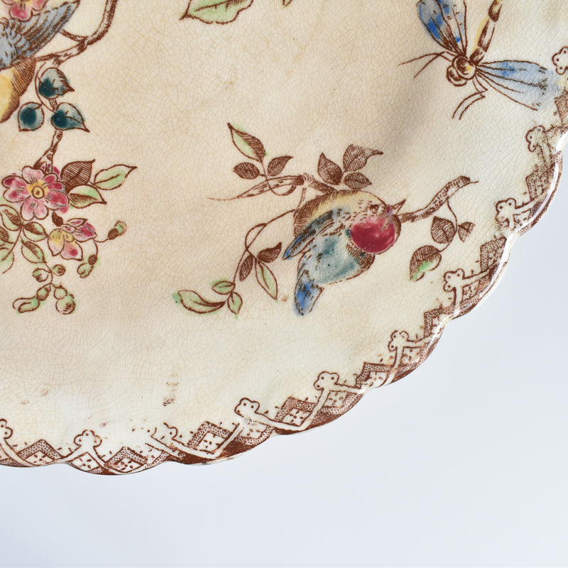 Antique Dessert Plates, Onnaing, Oiseaux D