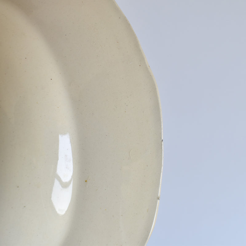 Vintage Deep Plate Digoin & Sarreguemines 8189