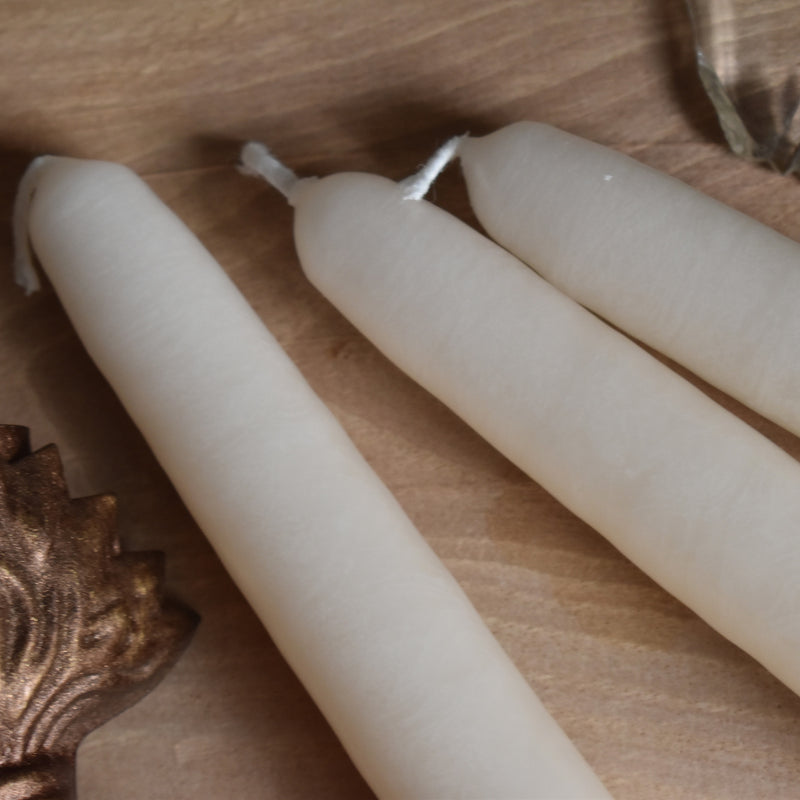 シエルジュコニック　（テーパーキャンドル）　20cm Papyrus（パピルス）