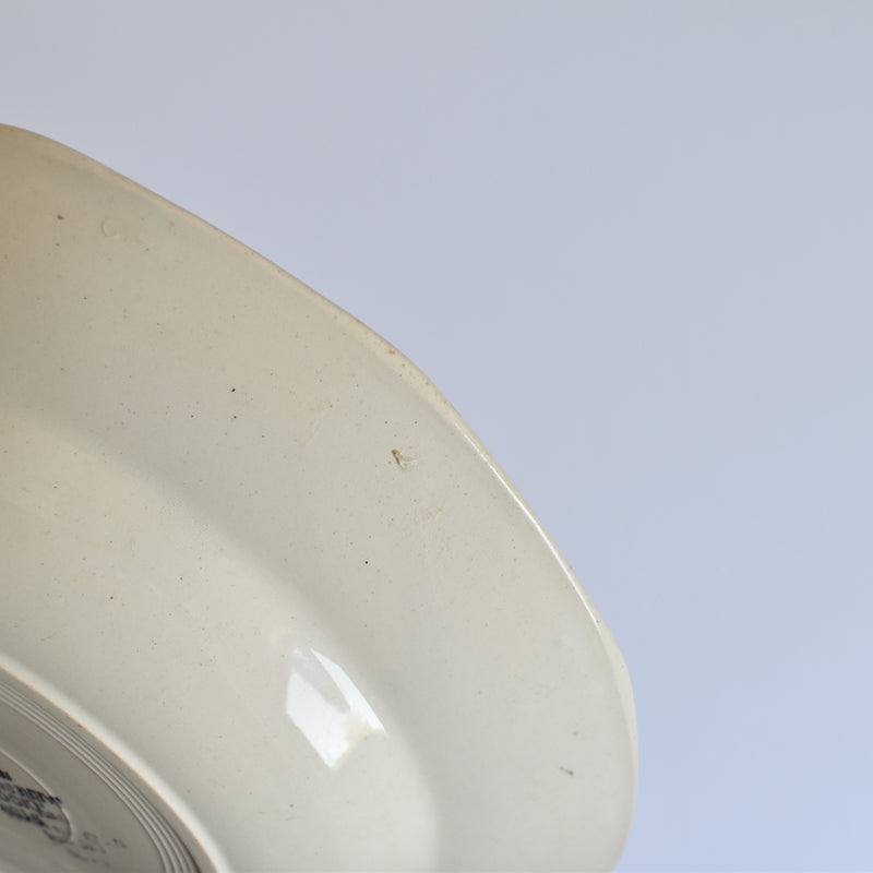 Vintage Deep Plate Digoin & Sarreguemines 8189