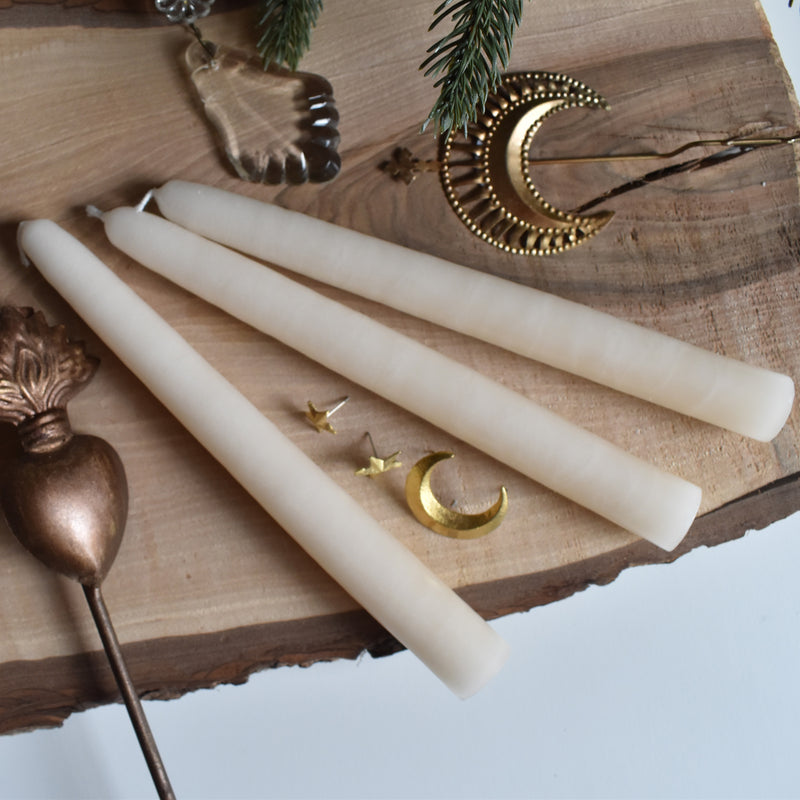 シエルジュコニック　（テーパーキャンドル）　20cm Papyrus（パピルス）