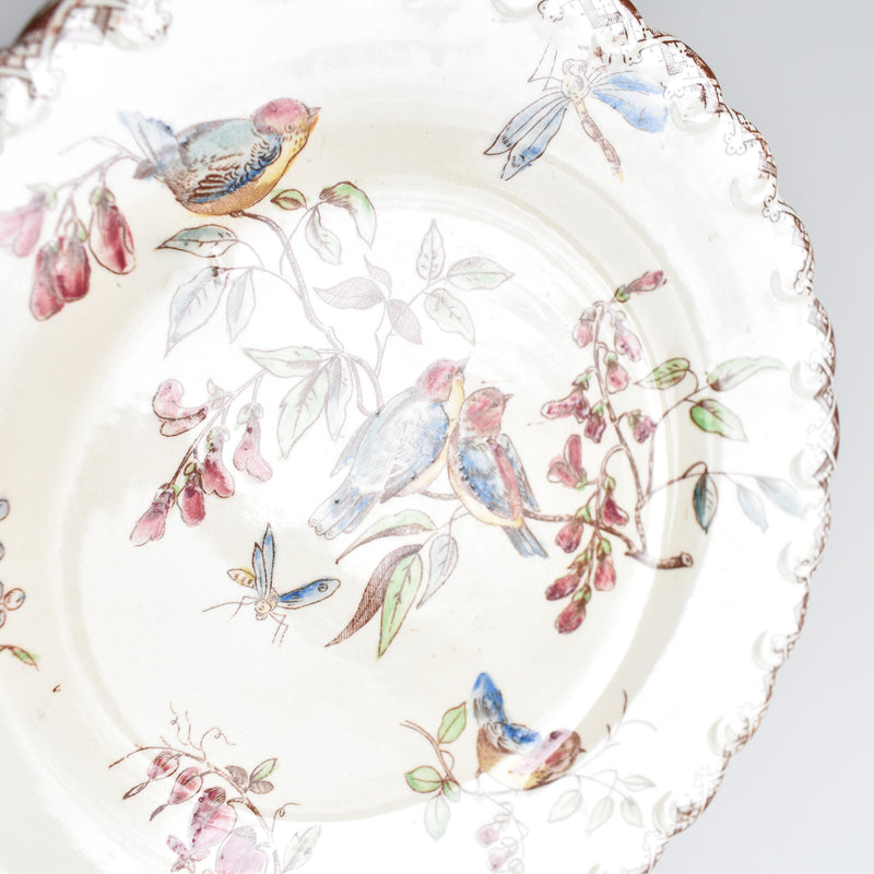 Antique Dessert Plate "Oiseaux F"