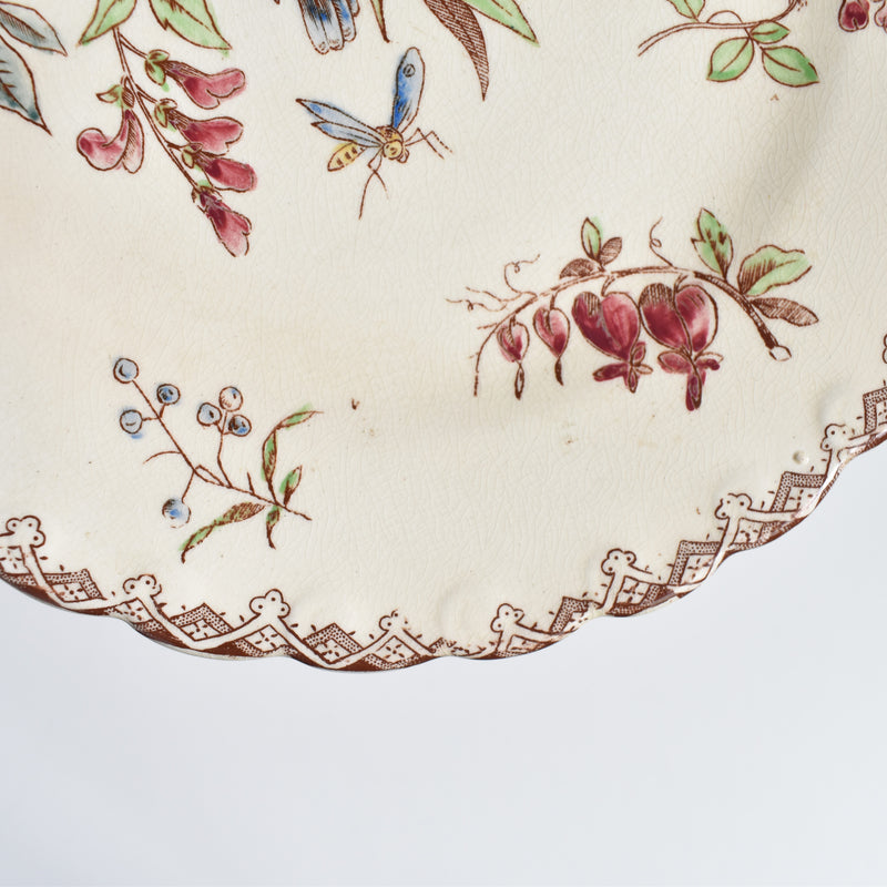 Antique Dessert Plate "Oiseaux F"