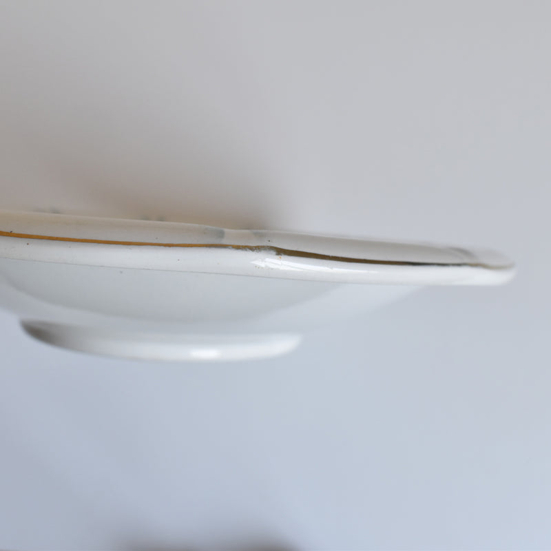 Vintage Deep Plate, Digoin & Sarreguemines 9123