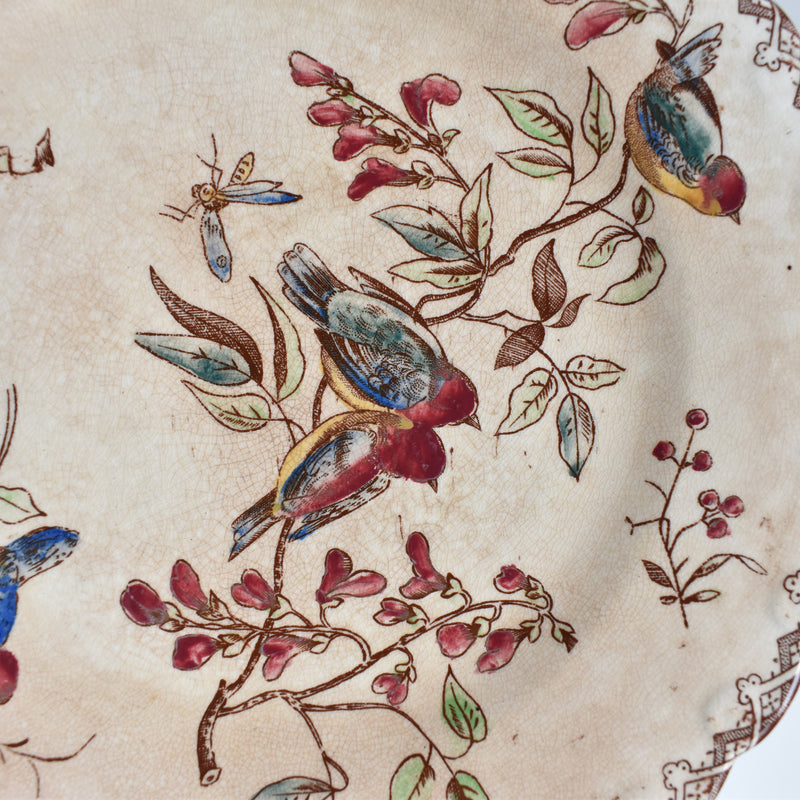 Antique Dessert Plate, Oiseaux G
