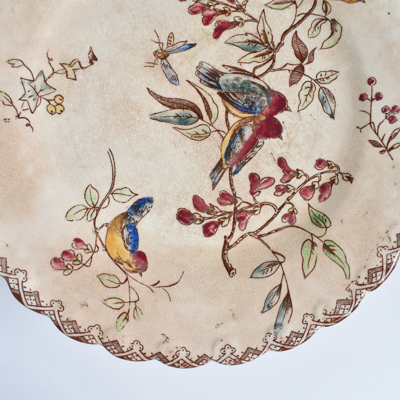 Antique Dessert Plate, Oiseaux G