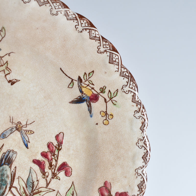 Antique Dessert Plate, Oiseaux G