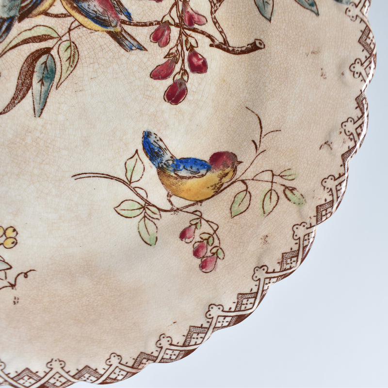 Antique Dessert Plate, Oiseaux G