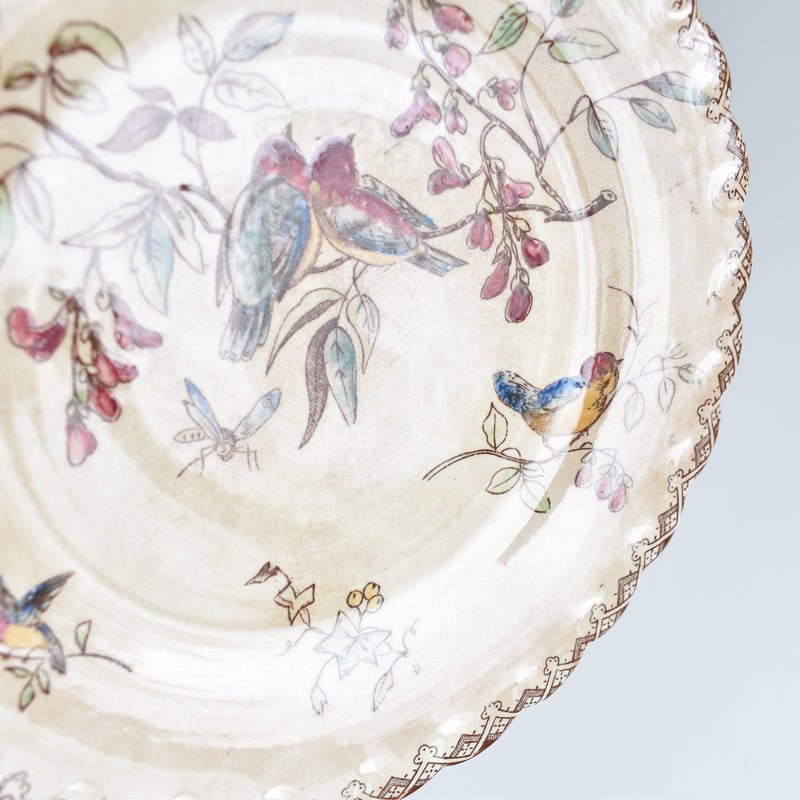 Antique Dessert Plate, Oiseaux G