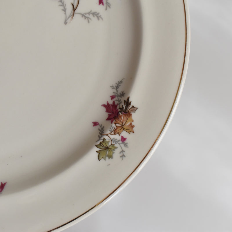 Vintage Plate Raynaud Erable C