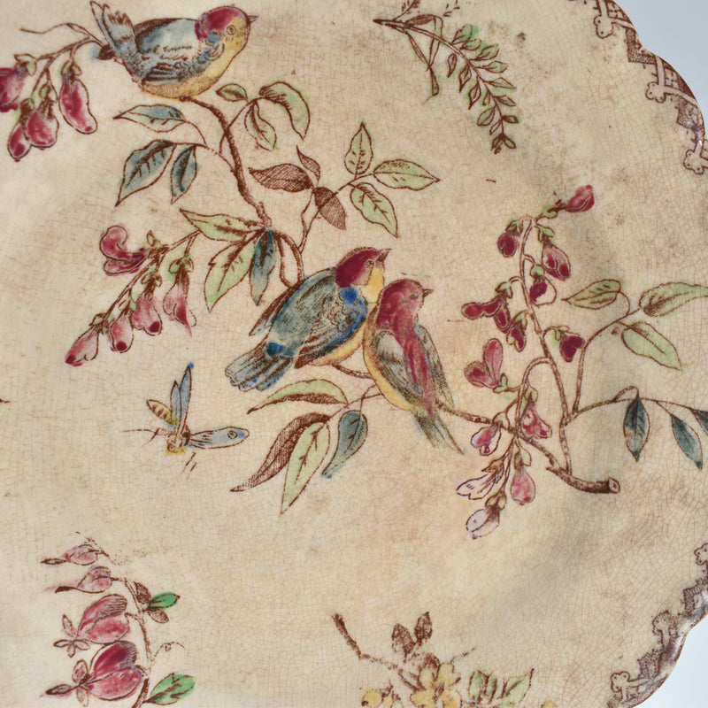 Antique Dessert Plate, Onan, Oiseaux H