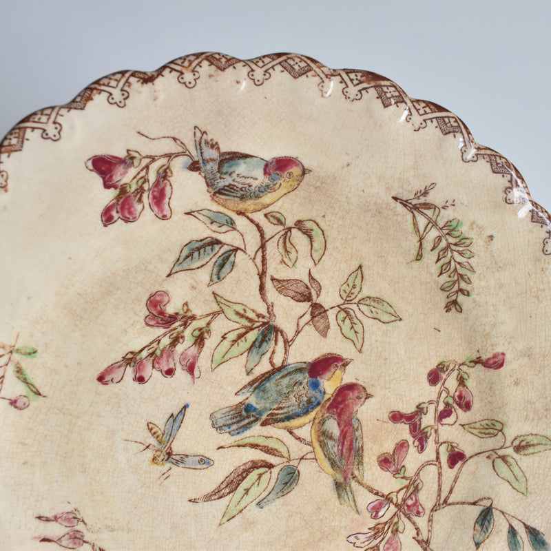 Antique Dessert Plate, Onan, Oiseaux H