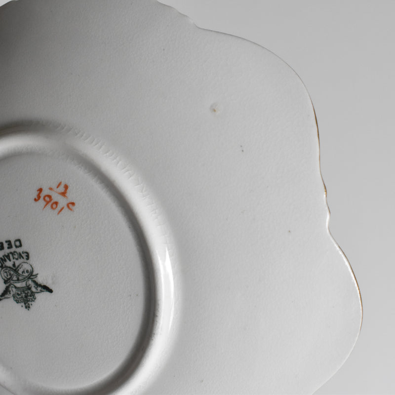 Antique Cup & Saucer RH&SL England DEE E