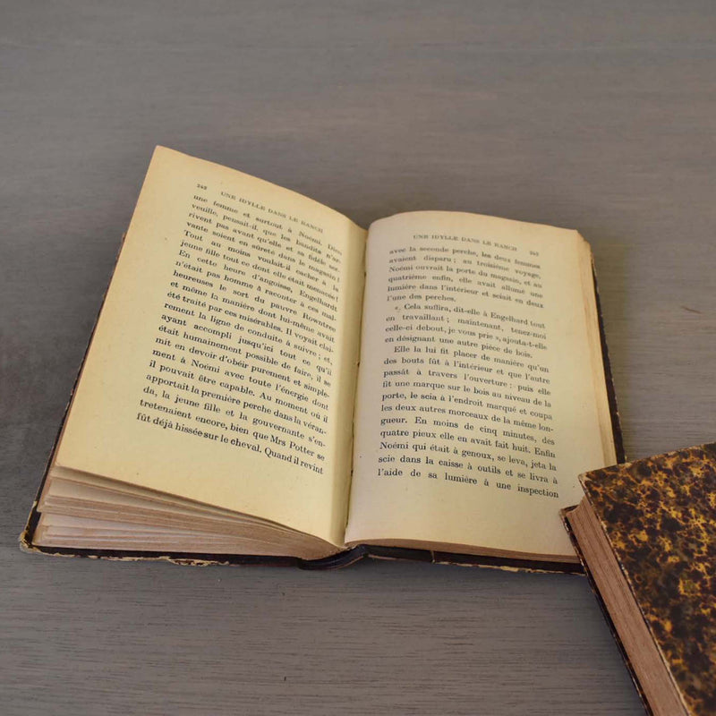 Antique book, "Une Idylle dans le Ranch"