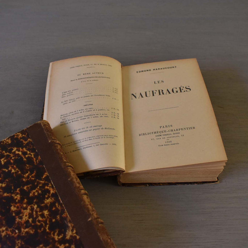 Antique book: Les Naufragés
