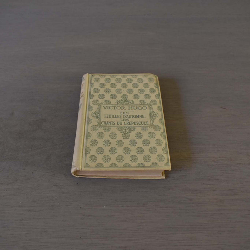 Antique Book: Victor Hugo