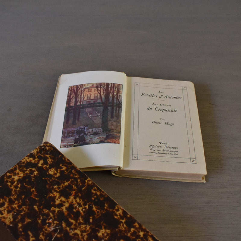 Antique Book: Victor Hugo