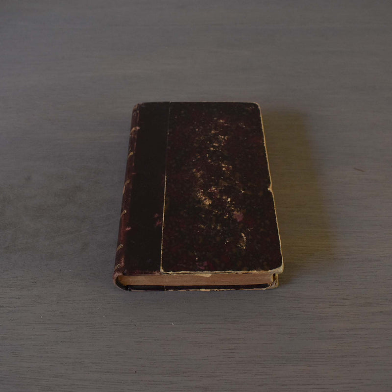 Antique book, "Une Idylle dans le Ranch"