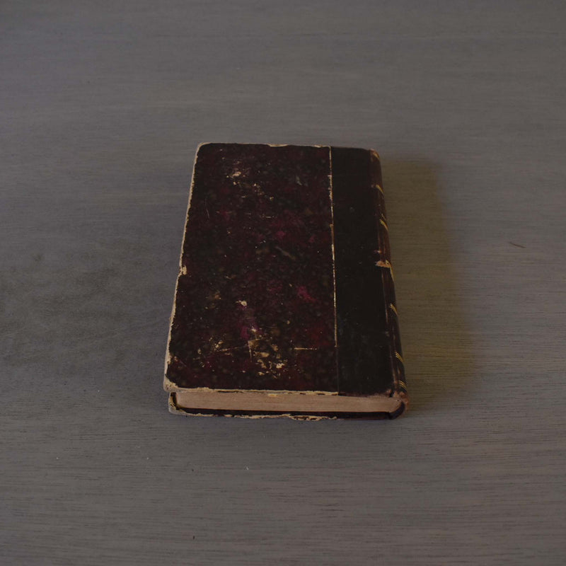 Antique book, "Une Idylle dans le Ranch"