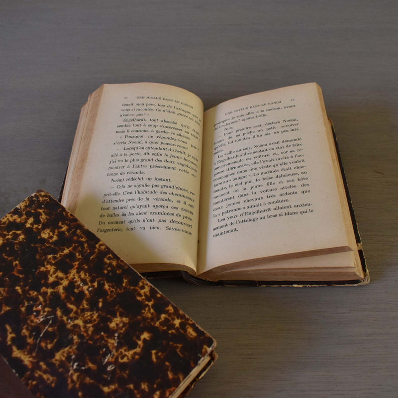 Antique book, "Une Idylle dans le Ranch"