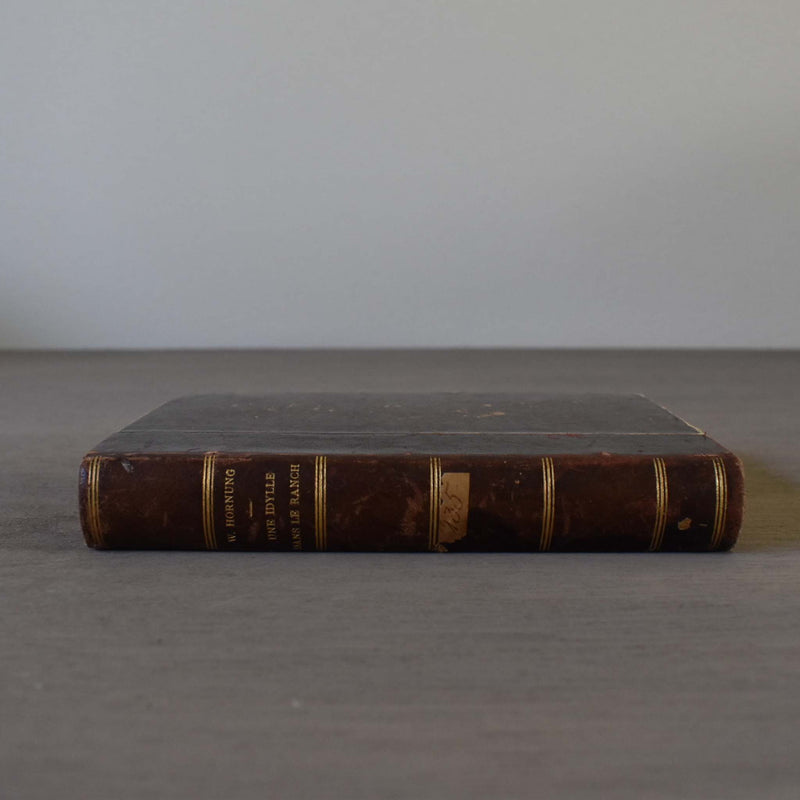 Antique book, "Une Idylle dans le Ranch"