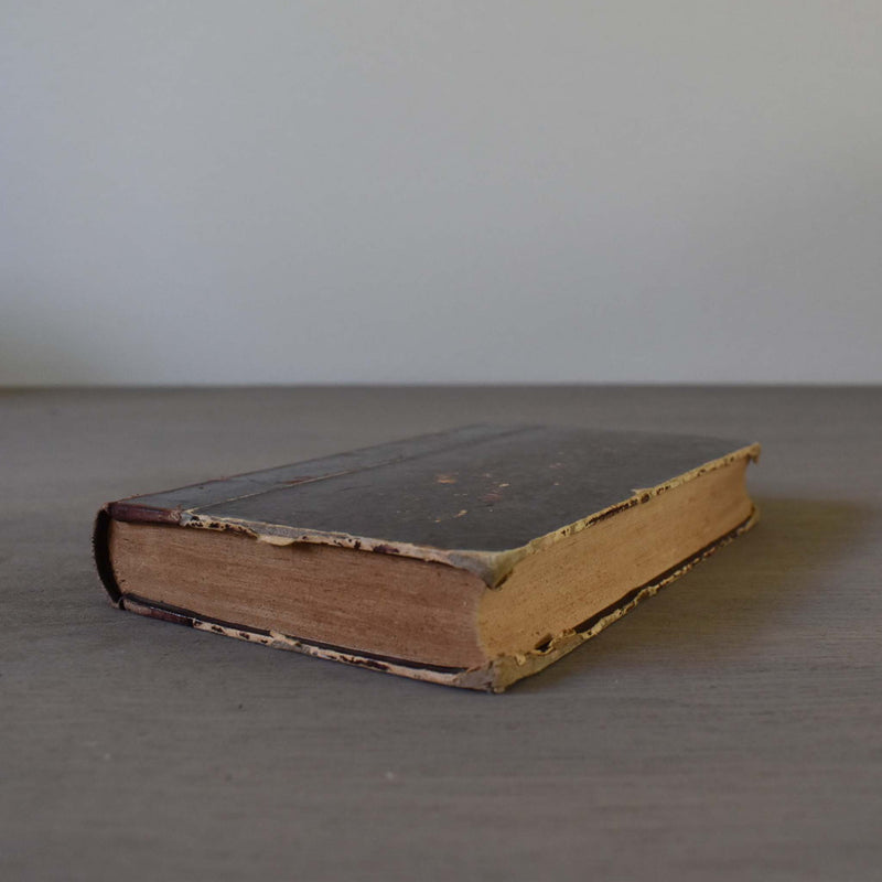 Antique book, "Une Idylle dans le Ranch"
