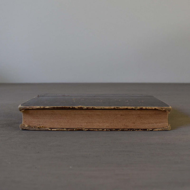 Antique book, "Une Idylle dans le Ranch"