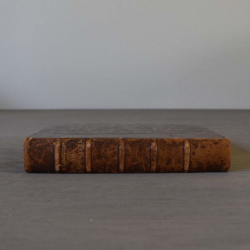 Antique book: Les Naufragés