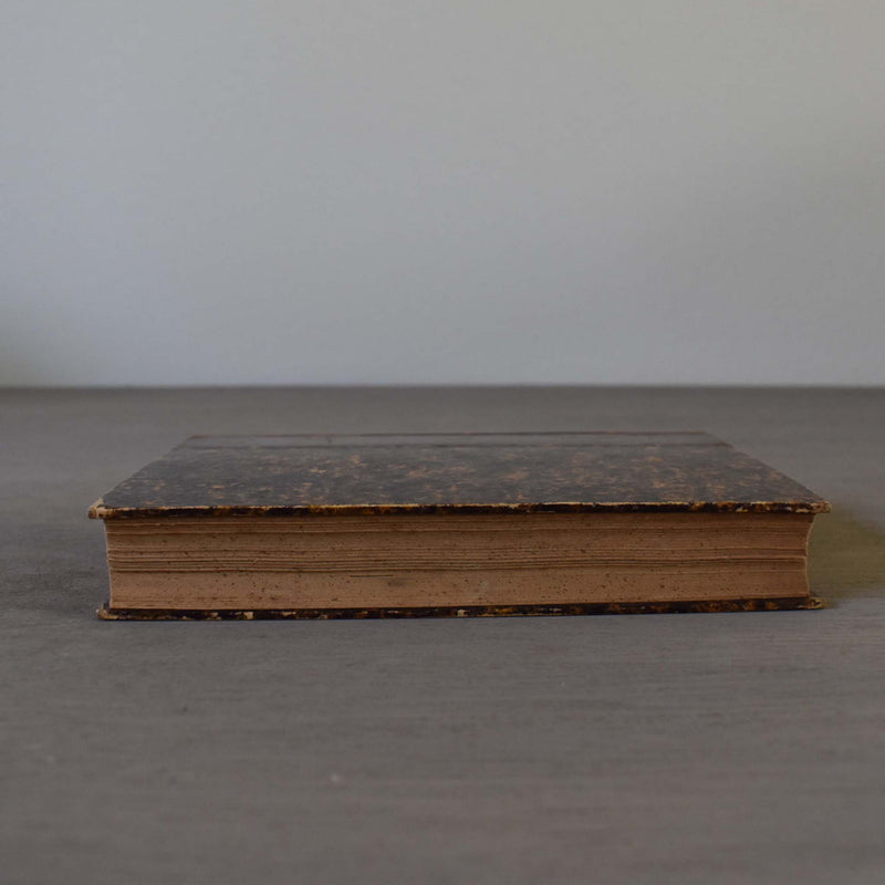 Antique book: Les Naufragés