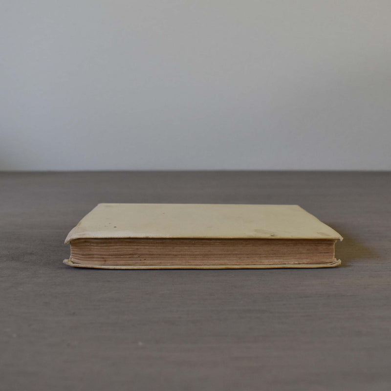 Antique Book: Victor Hugo